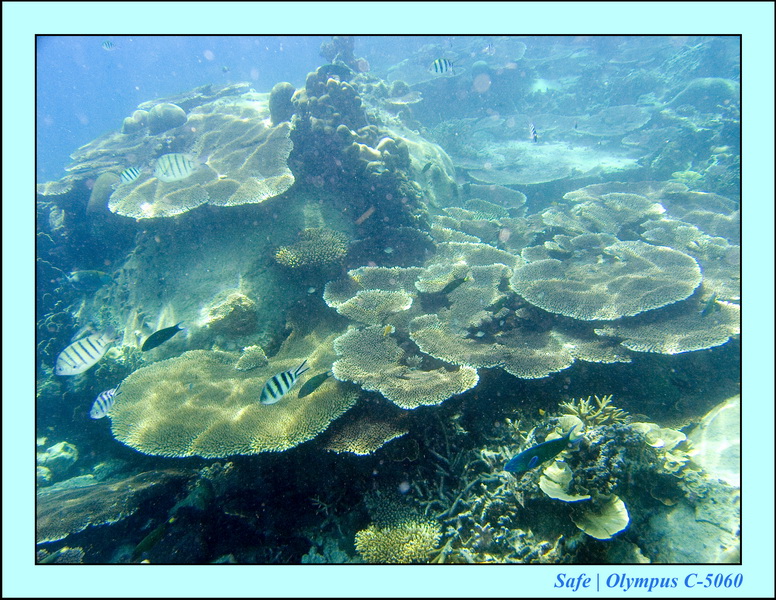 2008 - 07 - Leng Tengah - 089